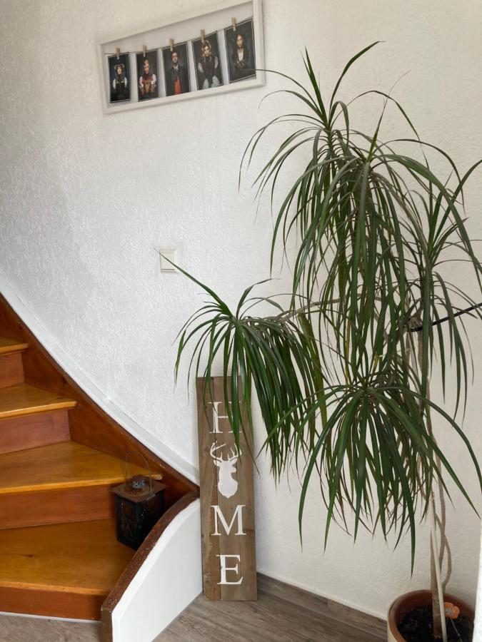 Ferienwohnung Petra Rust Eksteriør bilde